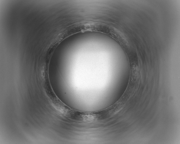 X0000076060698200609291225