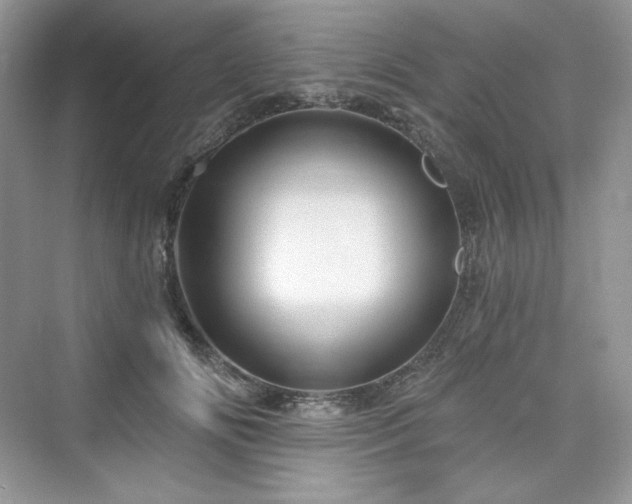 X0000076060702200609291225