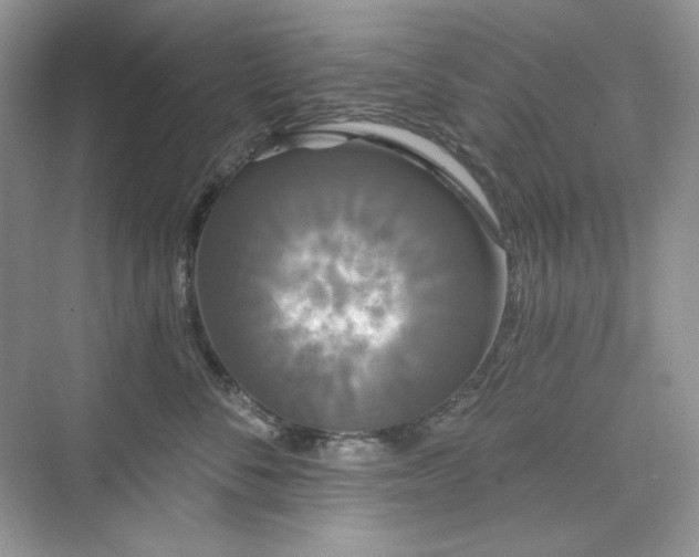 X0000076060716200609291225