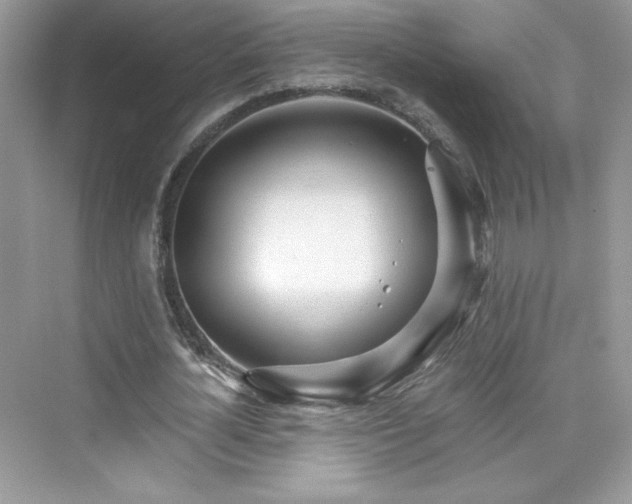 X0000076060724200609291224