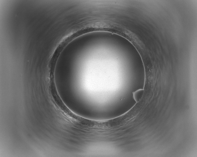 X0000076060727200609291224