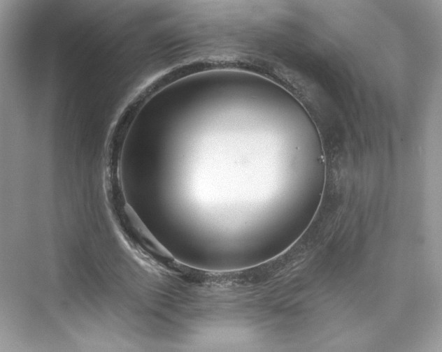 X0000076060728200609291224