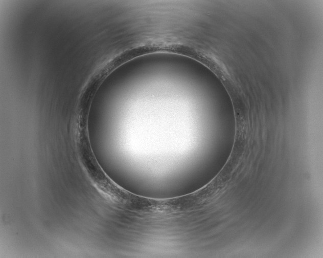 X0000076060736200609291224