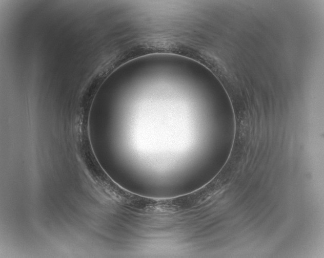 X0000076060739200609291225