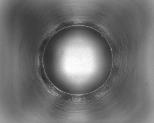 X0000076060740200609291225