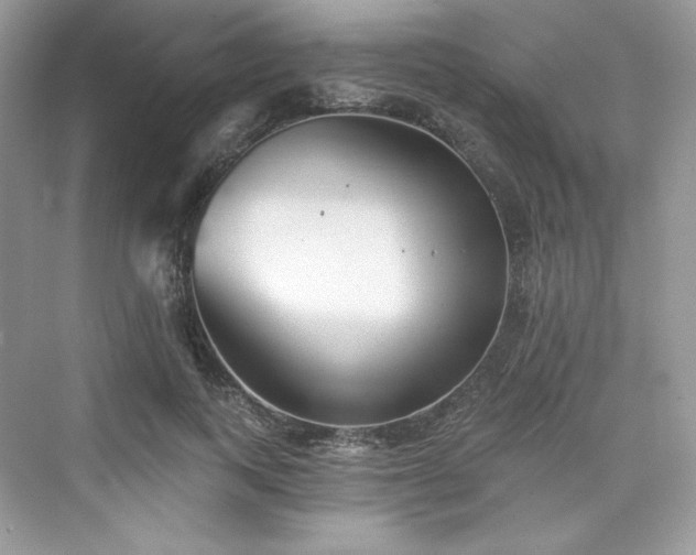 X0000076060743200609291225