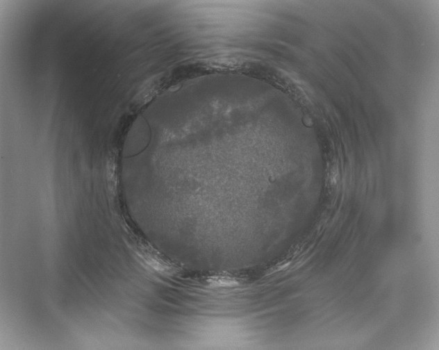 X0000076060749200609291225