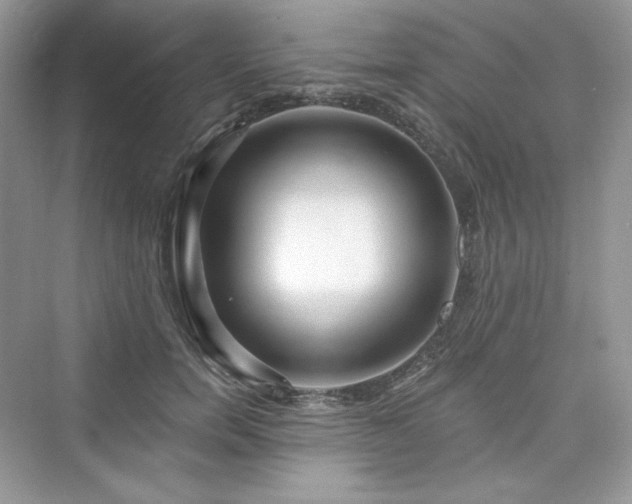 X0000076060750200609291225