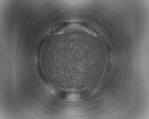 X0000076060754200609291225