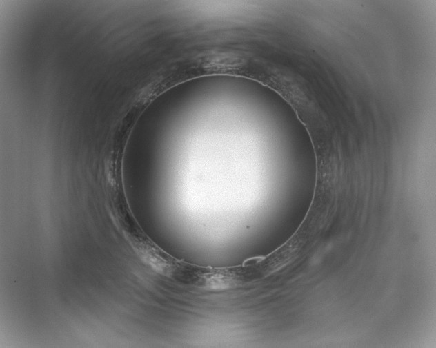 X0000076060755200609291225