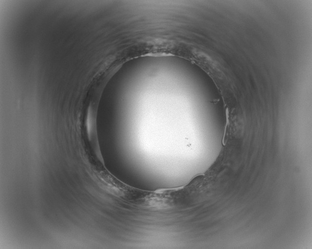 X0000076060756200609291225