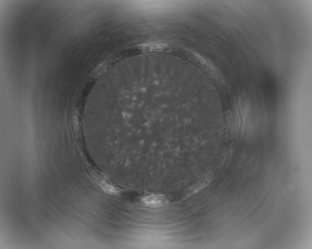 X0000076060761200609291225