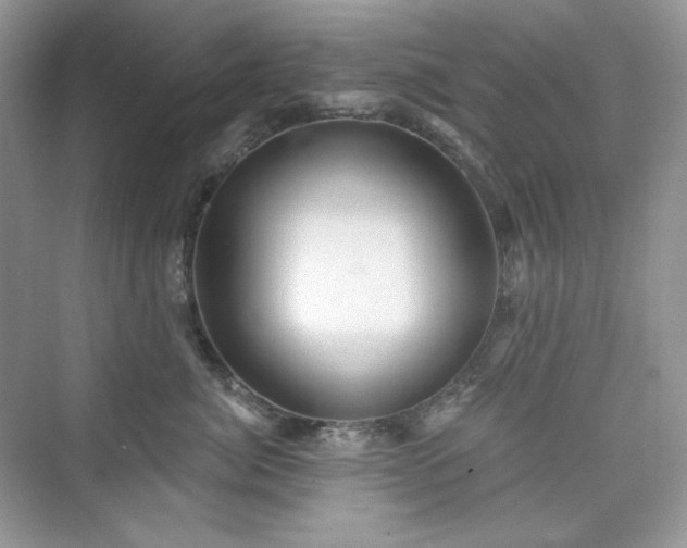 X0000076060764200609291225