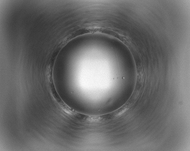 X0000076060767200609291225