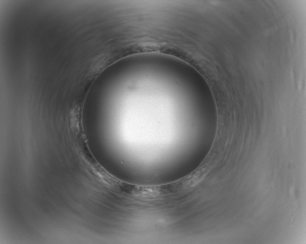 X0000076060768200609291225