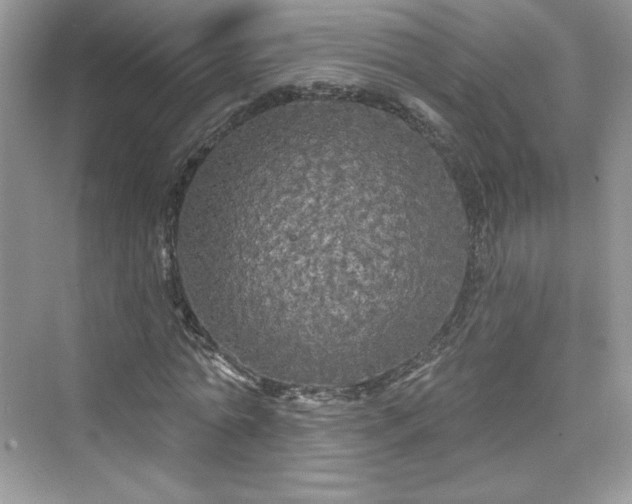 X0000076060774200609291224