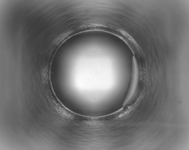 X0000076060785200609291224