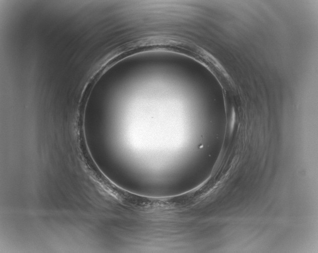 X0000076060786200609291224