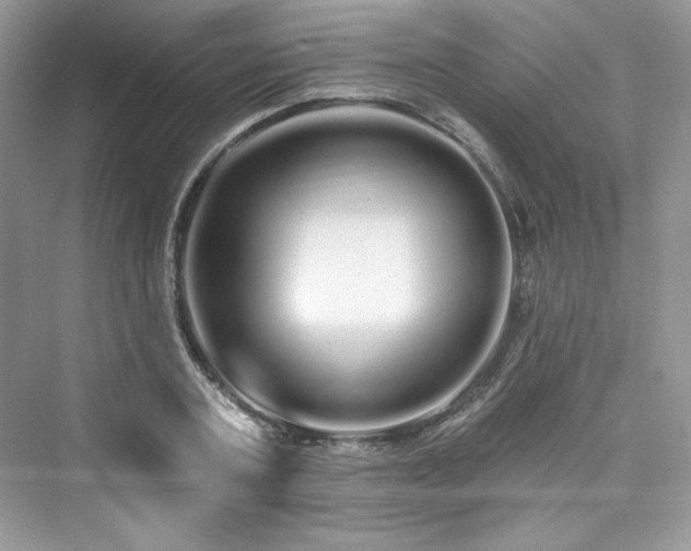 X0000076060787200609291224