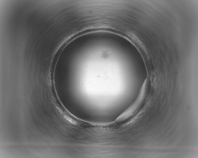 X0000076060789200609291224