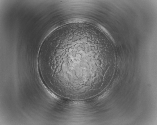 X0000076060802200609291224