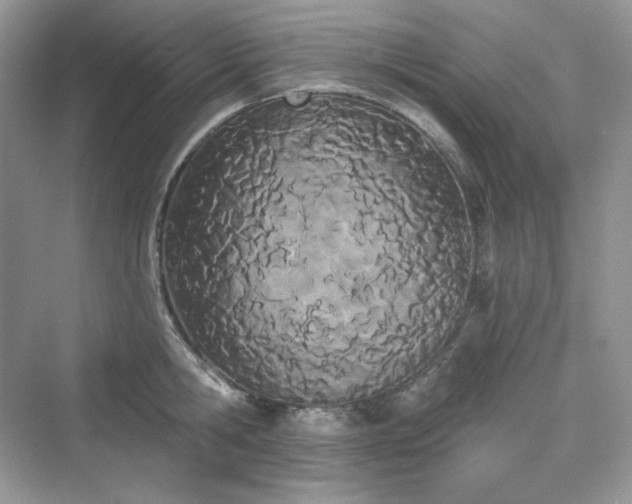 X0000076060806200609291224
