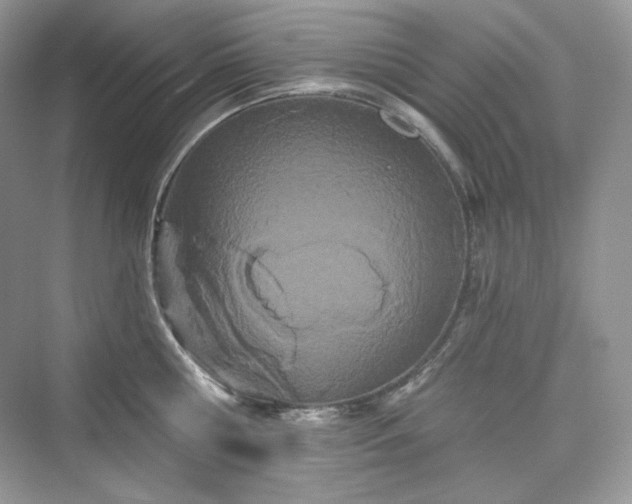 X0000076060810200609291224