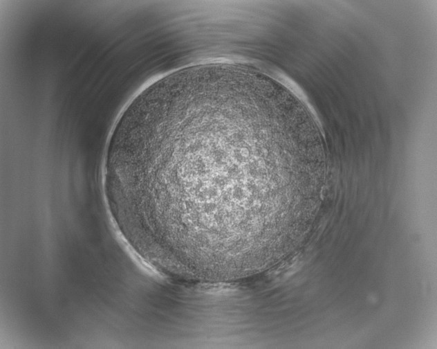 X0000076060811200609291223