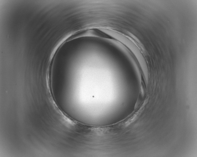 X0000076060812200609291223
