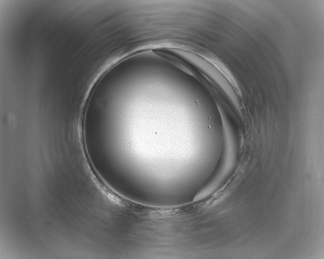 X0000076060813200609291223