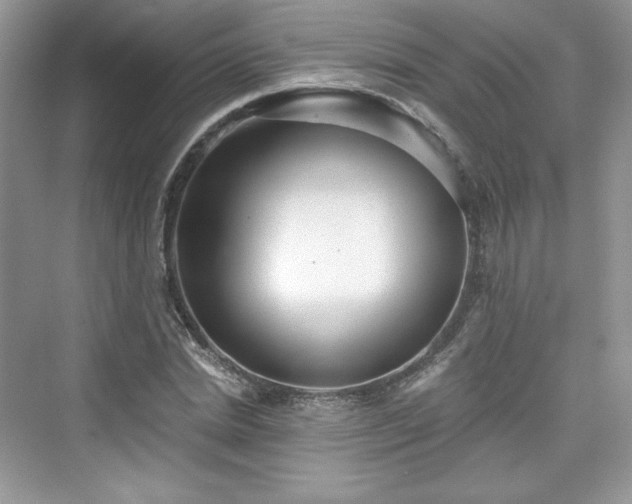 X0000076060830200609291223
