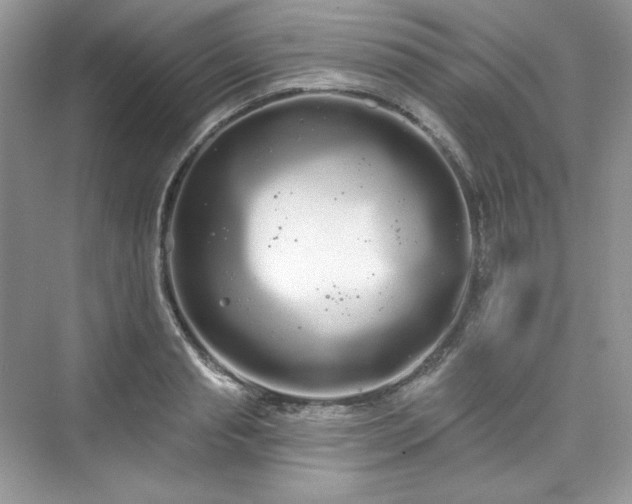 X0000076060845200609291223
