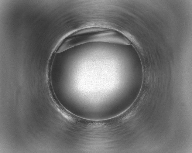 X0000076060846200609291223