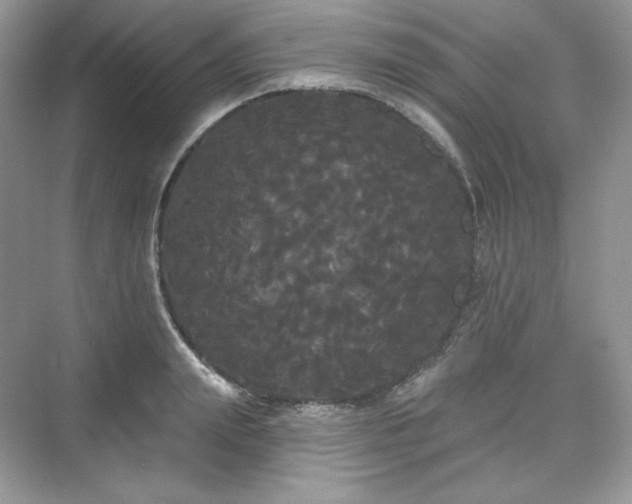 X0000076060847200609291223