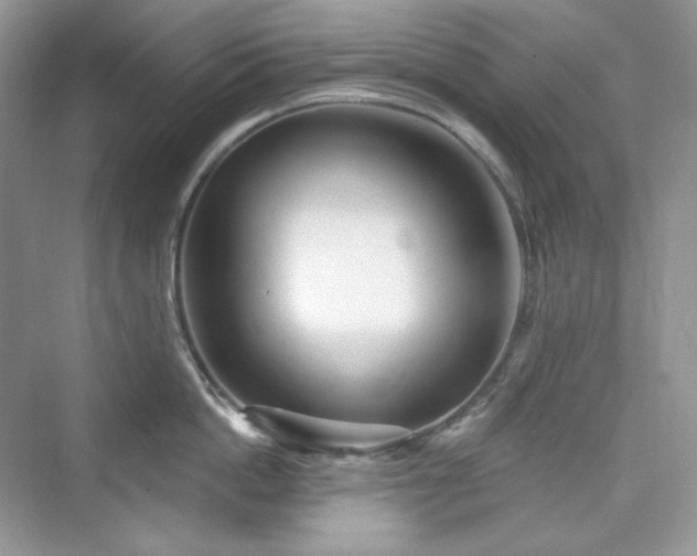 X0000076060862200609291223