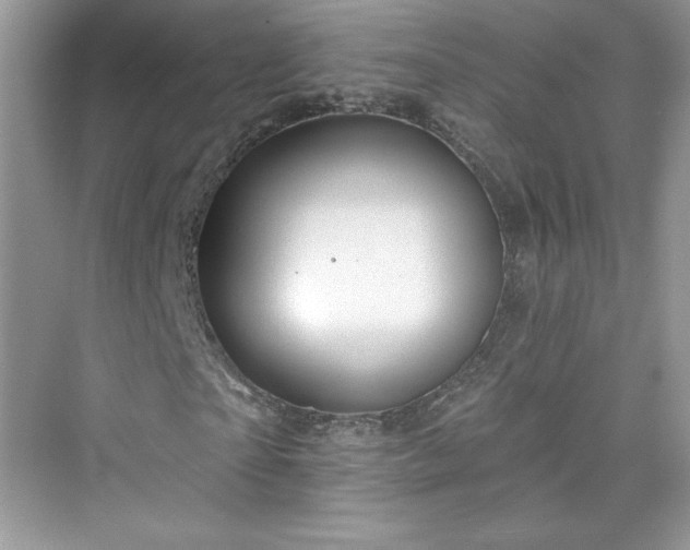 X0000076060865200609291223