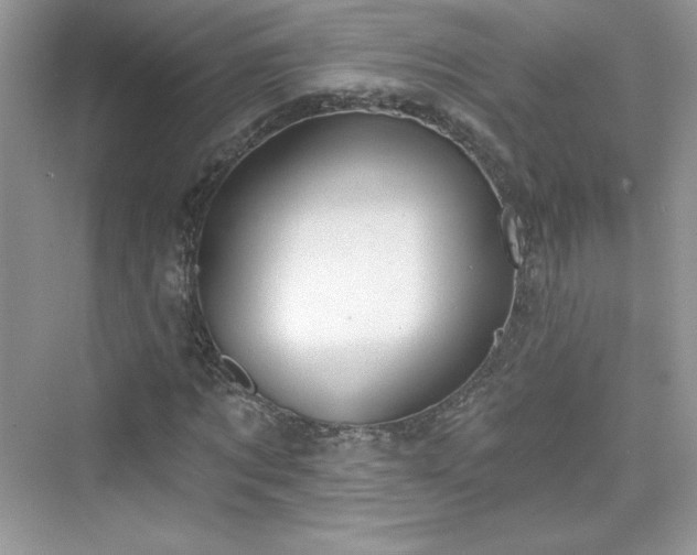X0000076060869200609291223