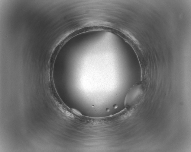 X0000076060877200609291222
