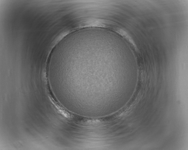 X0000076060882200609291222