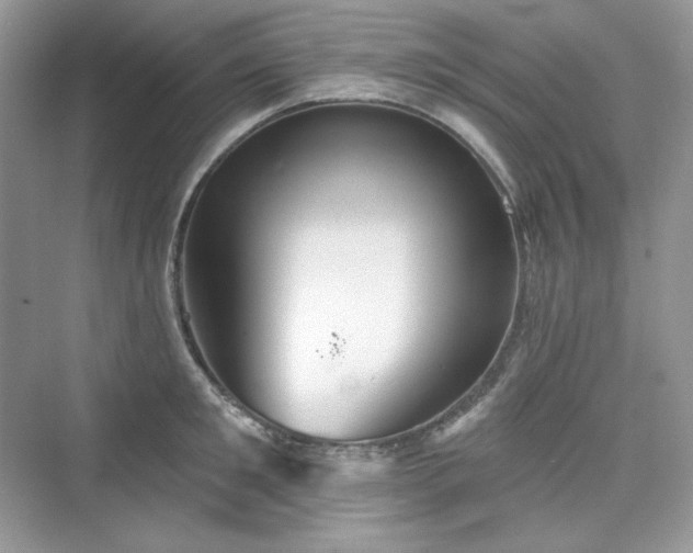 X0000076060901200609291222