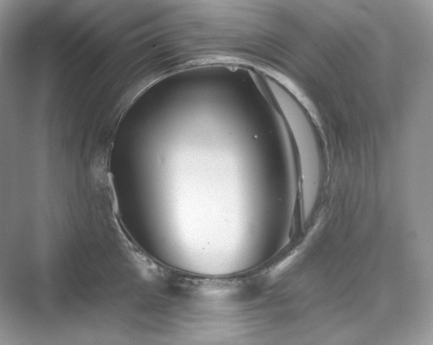 X0000076060905200609291222