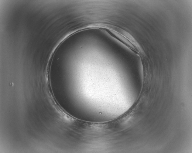 X0000076060908200609291222