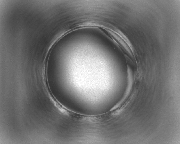 X0000076060909200609291222