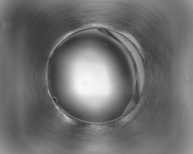 X0000076060910200609291222