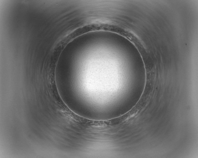 X0000076060919200609291221