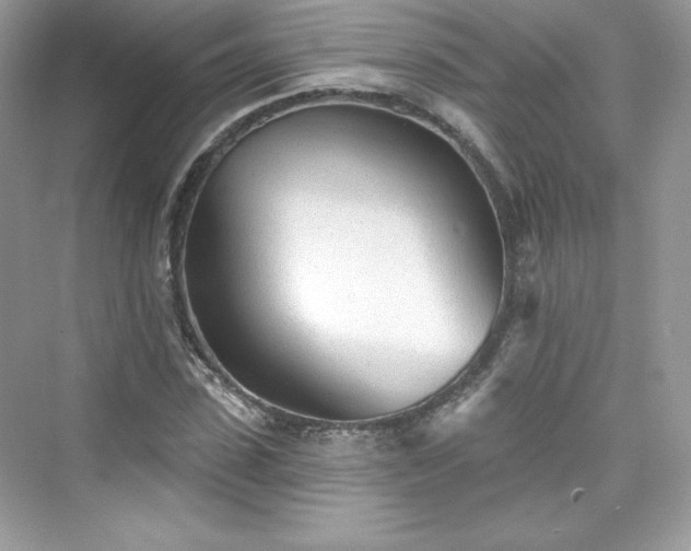 X0000076060923200609291221