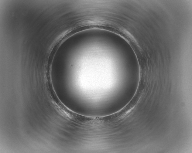 X0000076060930200609291221