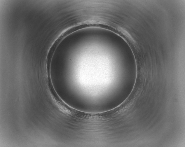 X0000076060934200609291221