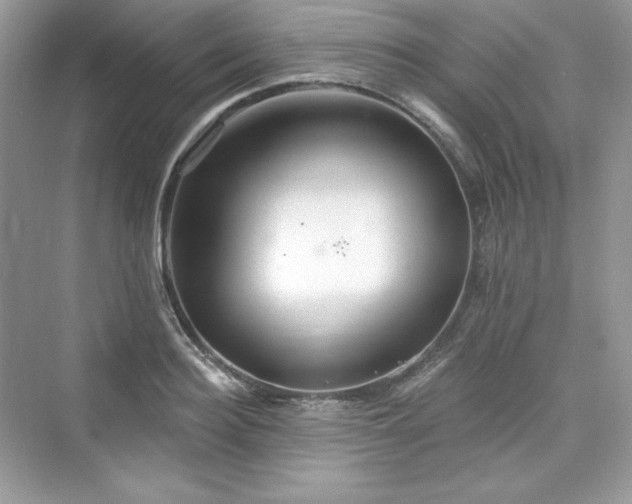 X0000076060940200609291221