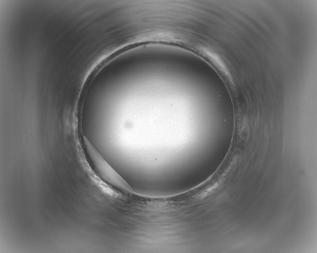 X0000076060944200609291222
